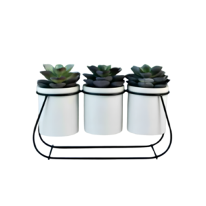 Modern Artificial Succulent Set in Metal Wire Rack